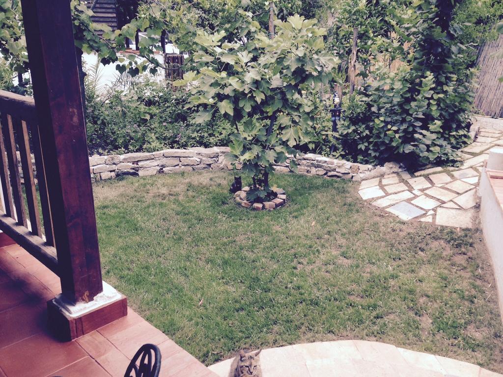 Residenza Luna Паестум Екстериор снимка
